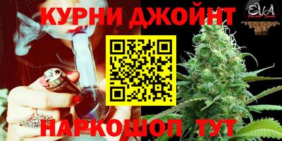 гидра Кимры