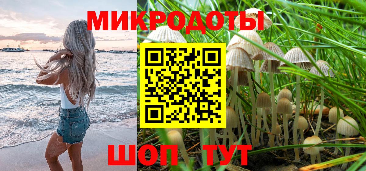 Красноярск  Галлюциногенные грибы Cubensis  Вход с VPN 
