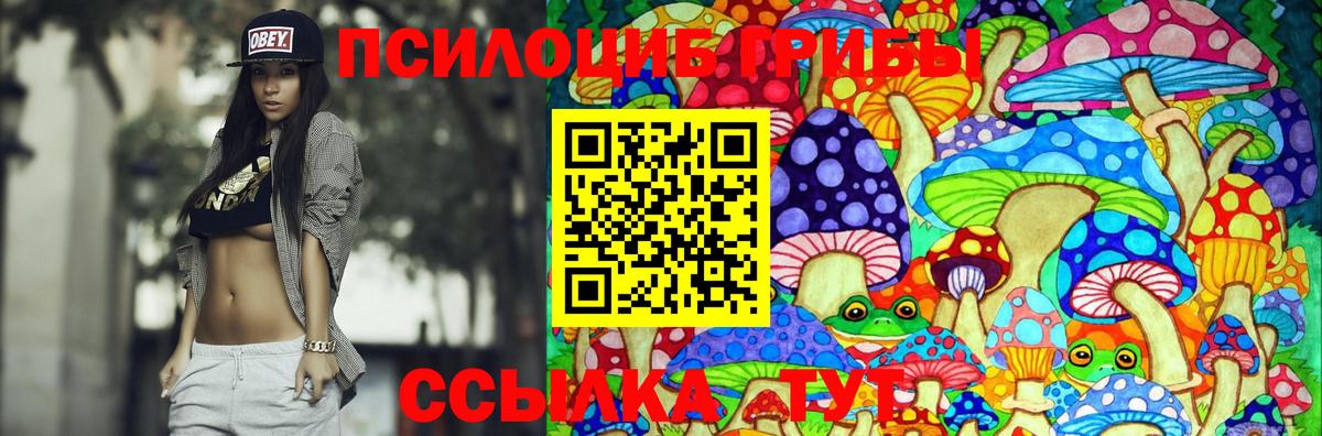 Псилоцибиновые грибы мухоморы Красноярск
